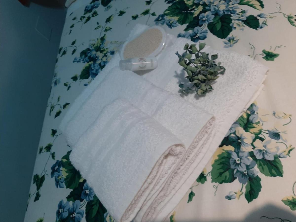 Casa Vacanze Etna Cocus 산타 베네리나 외부 사진