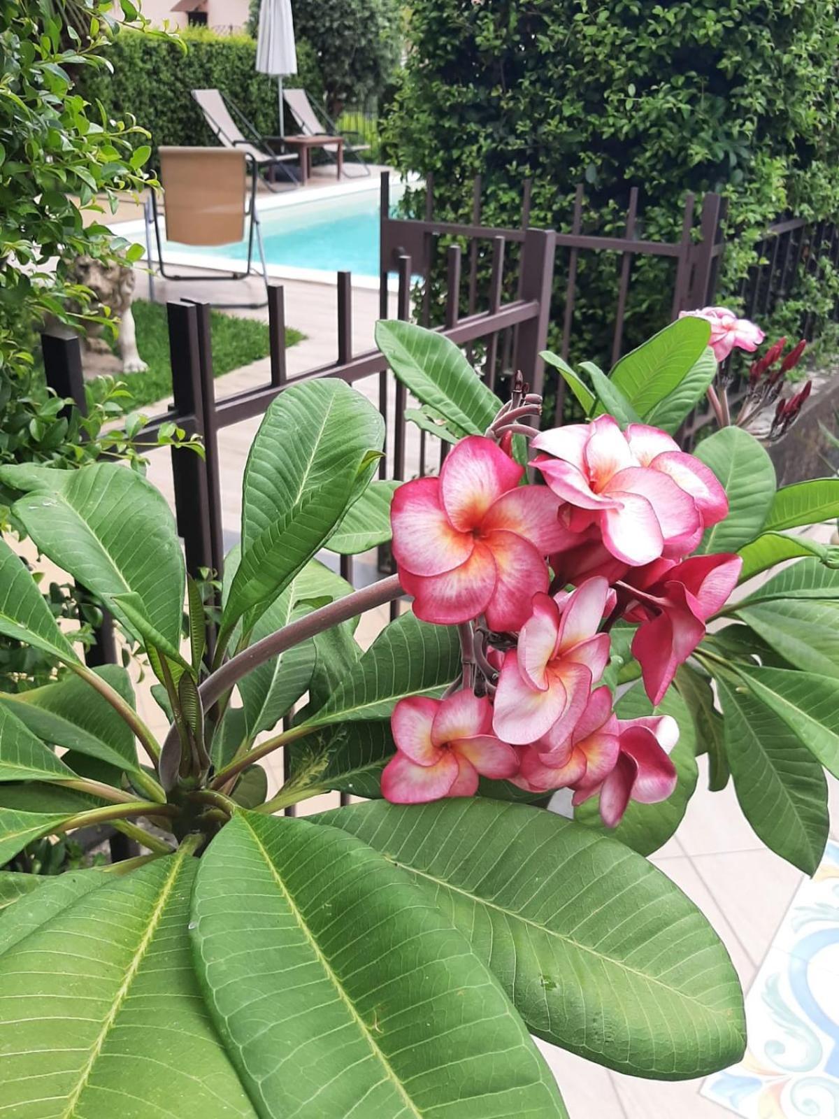 Casa Vacanze Etna Cocus 산타 베네리나 외부 사진